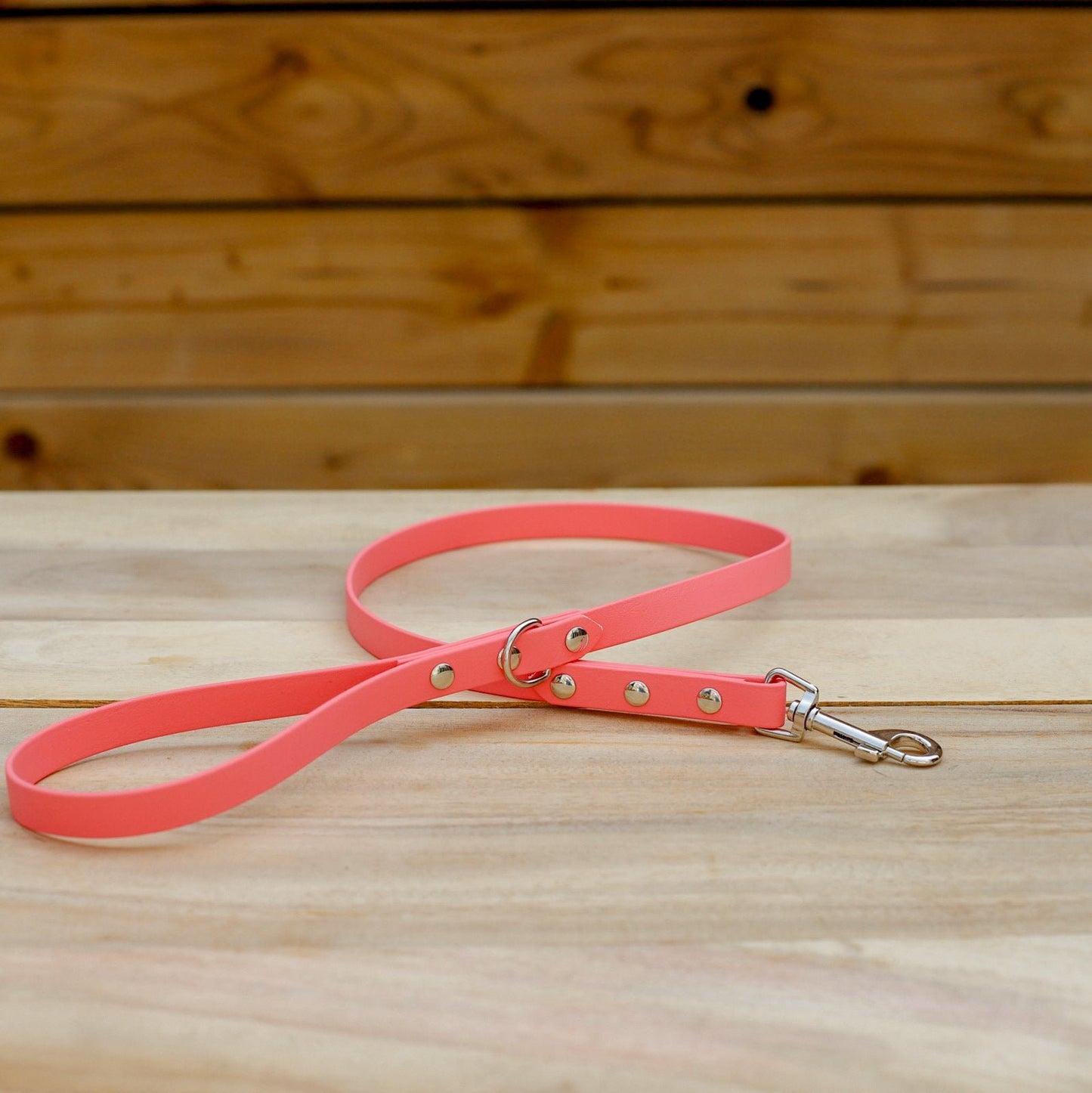 Biothane 5/8" Classic Leash