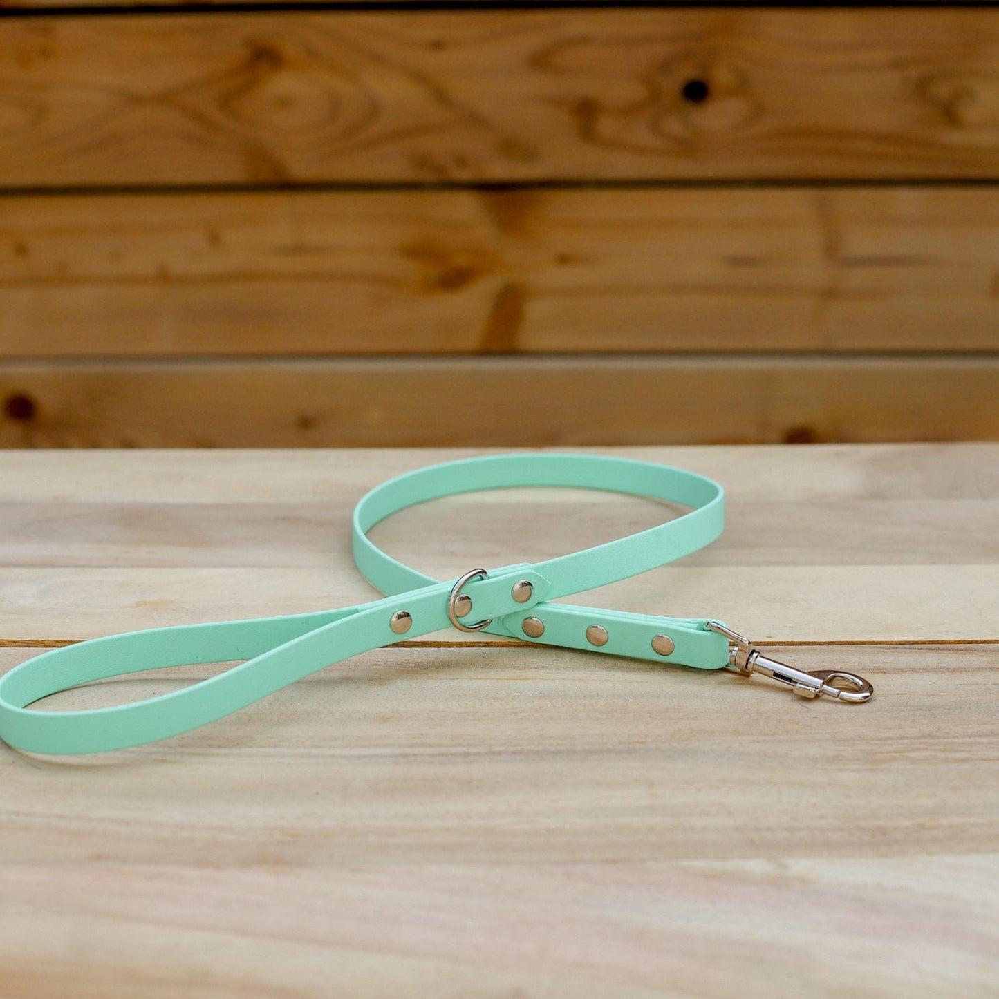 Biothane 5/8" Classic Leash