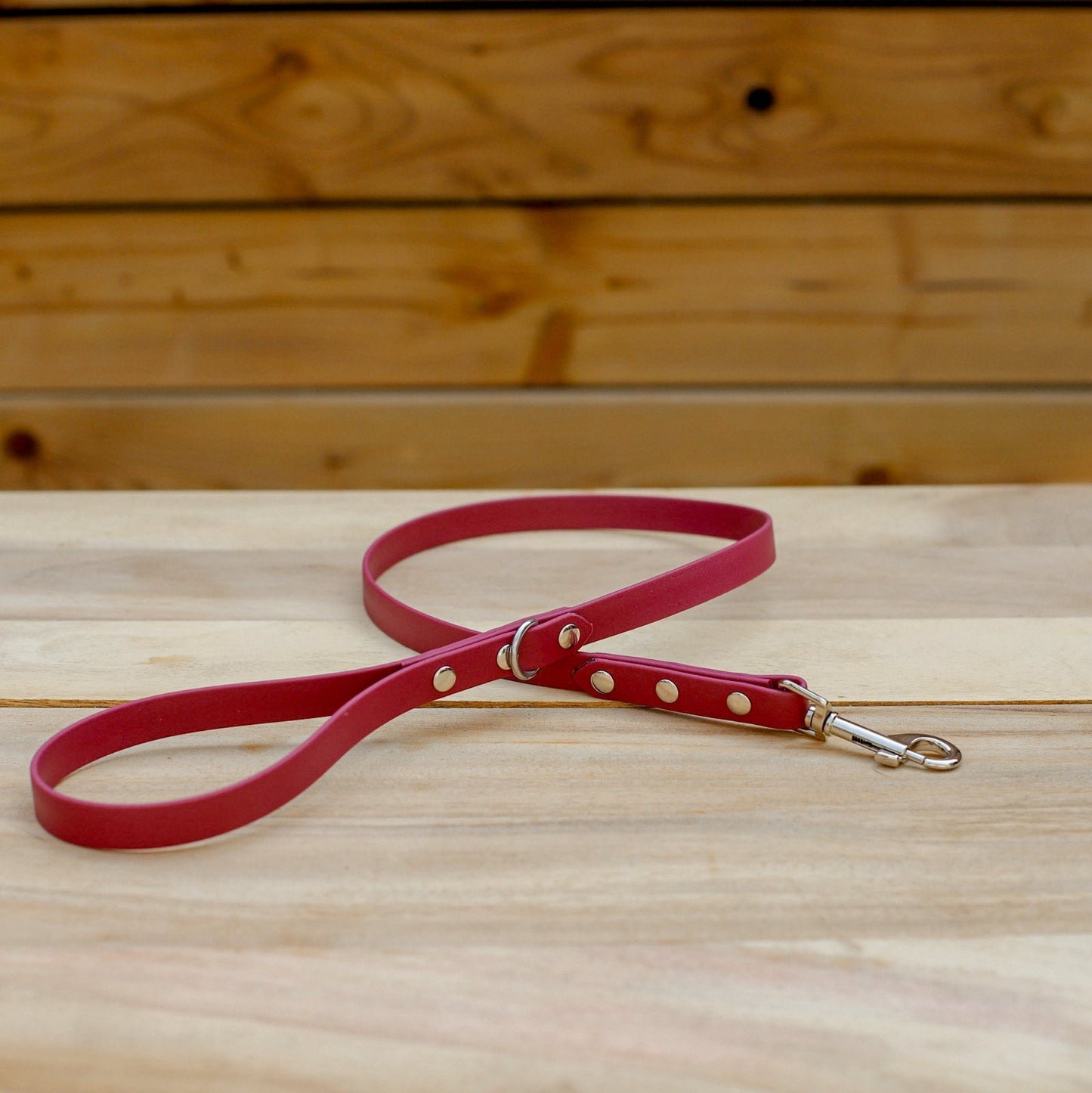 Biothane 5/8" Classic Leash