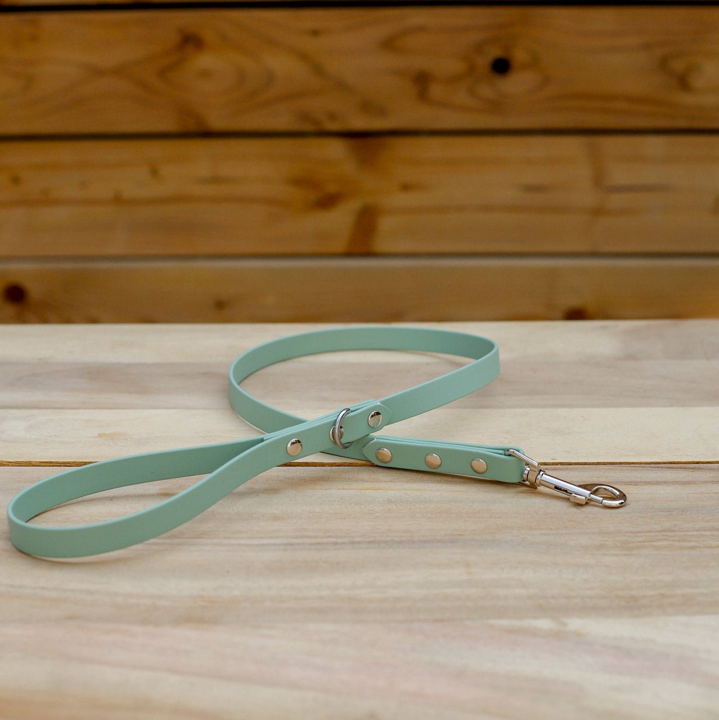 Biothane 5/8" Classic Leash