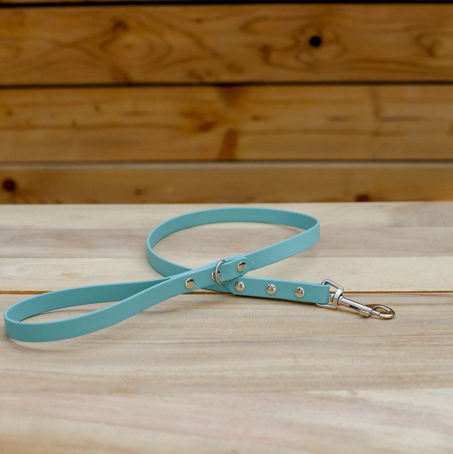 Biothane 5/8" Classic Leash