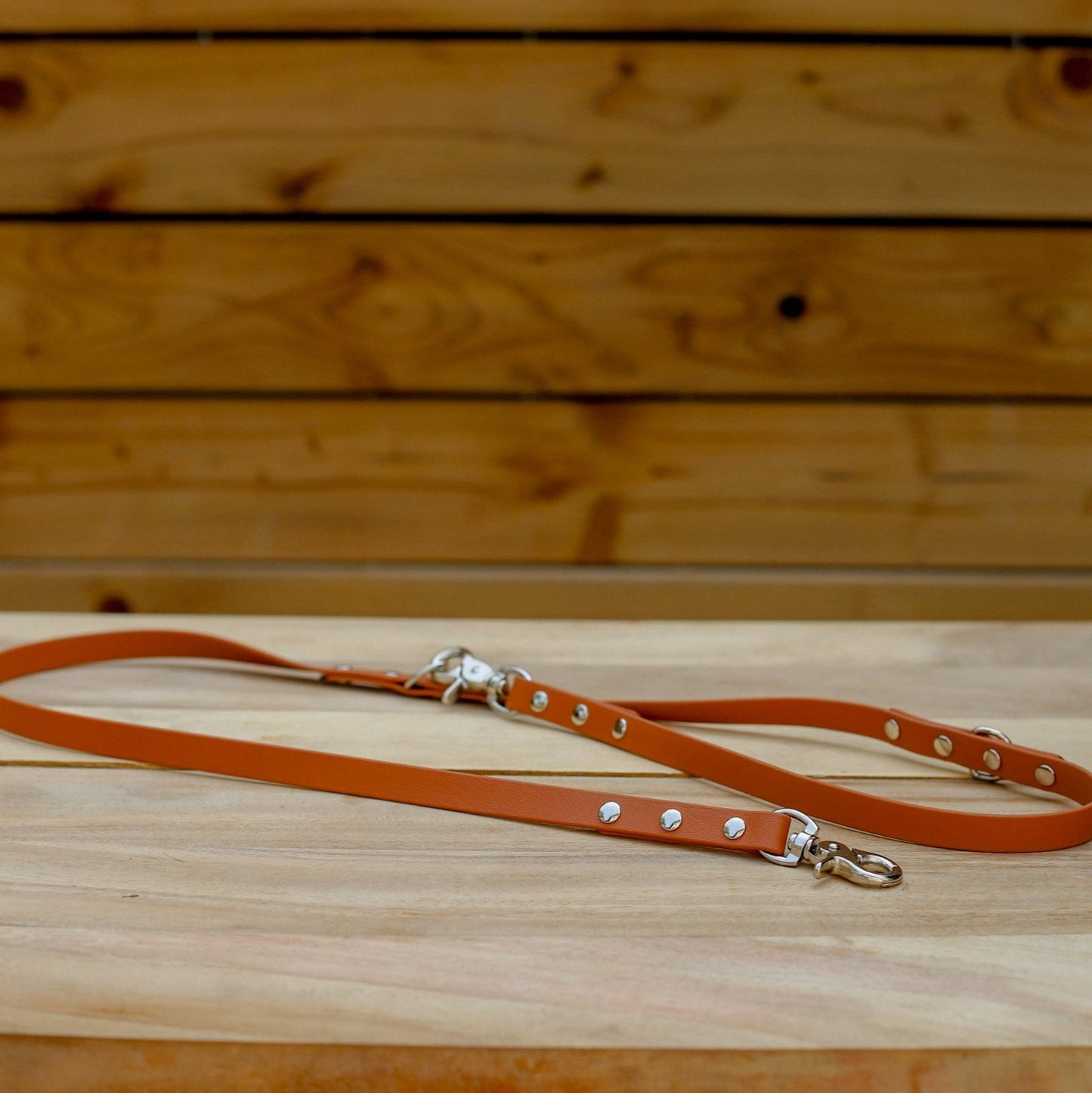 Biothane 5/8" Multi-Leash