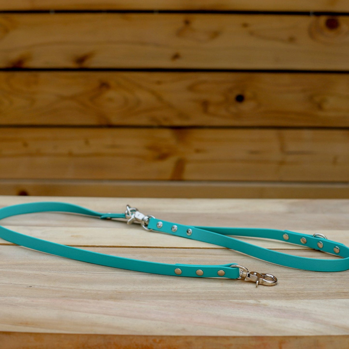 Biothane 5/8" Multi-Leash