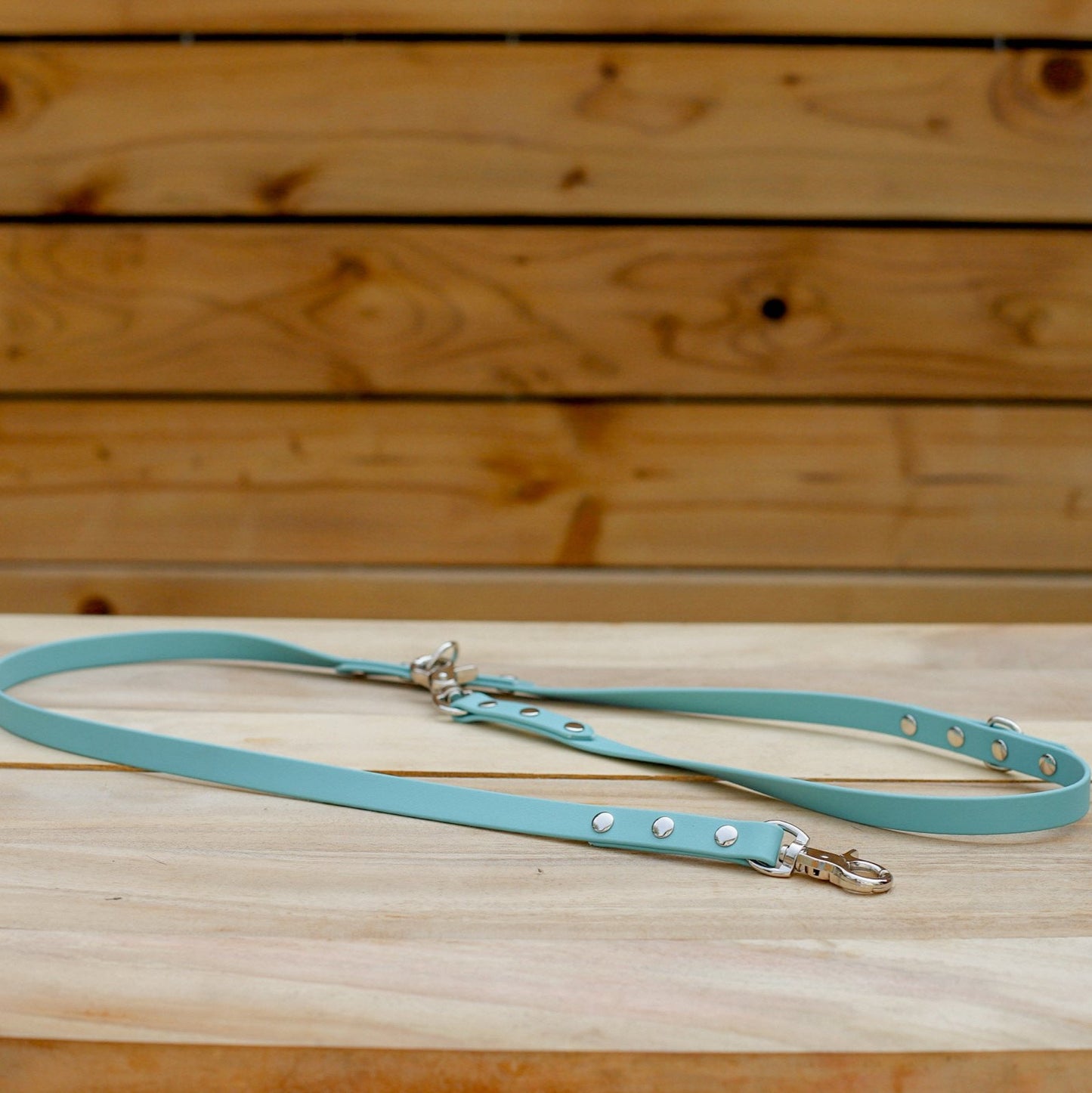 Biothane 5/8" Multi-Leash