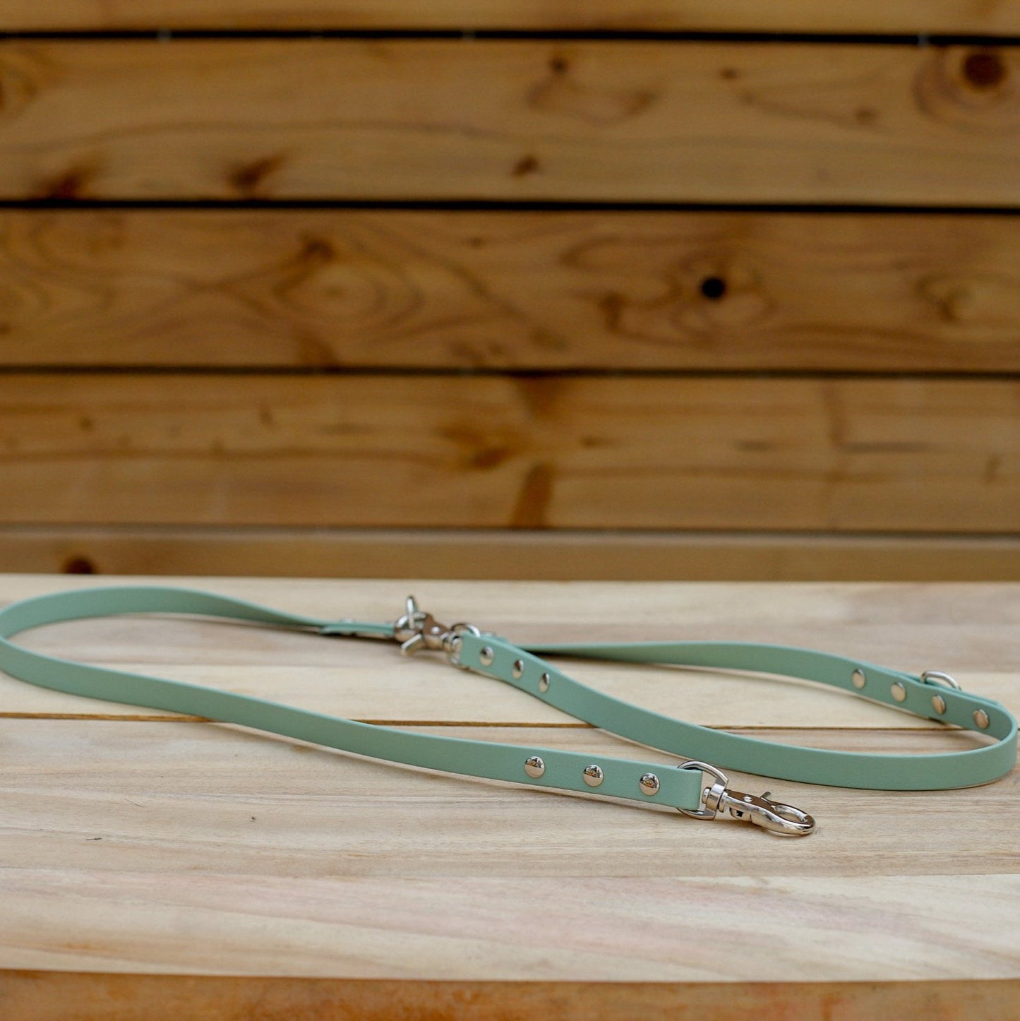 Biothane 5/8" Multi-Leash