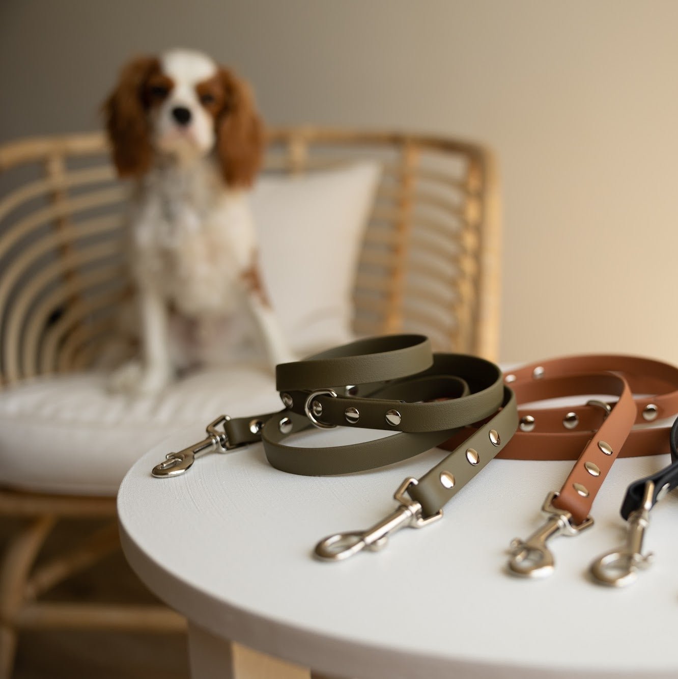 Biothane 5/8" Multi-Leash