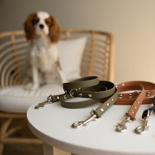 Biothane 5/8" Multi-Leash