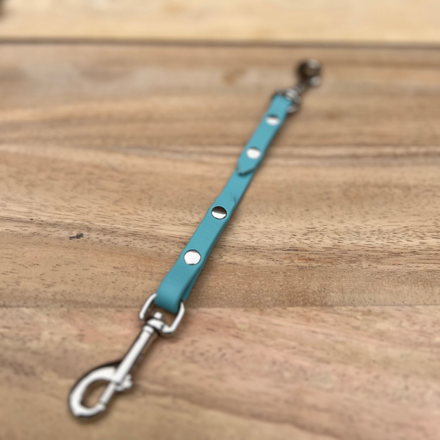 Biothane Safety Strap