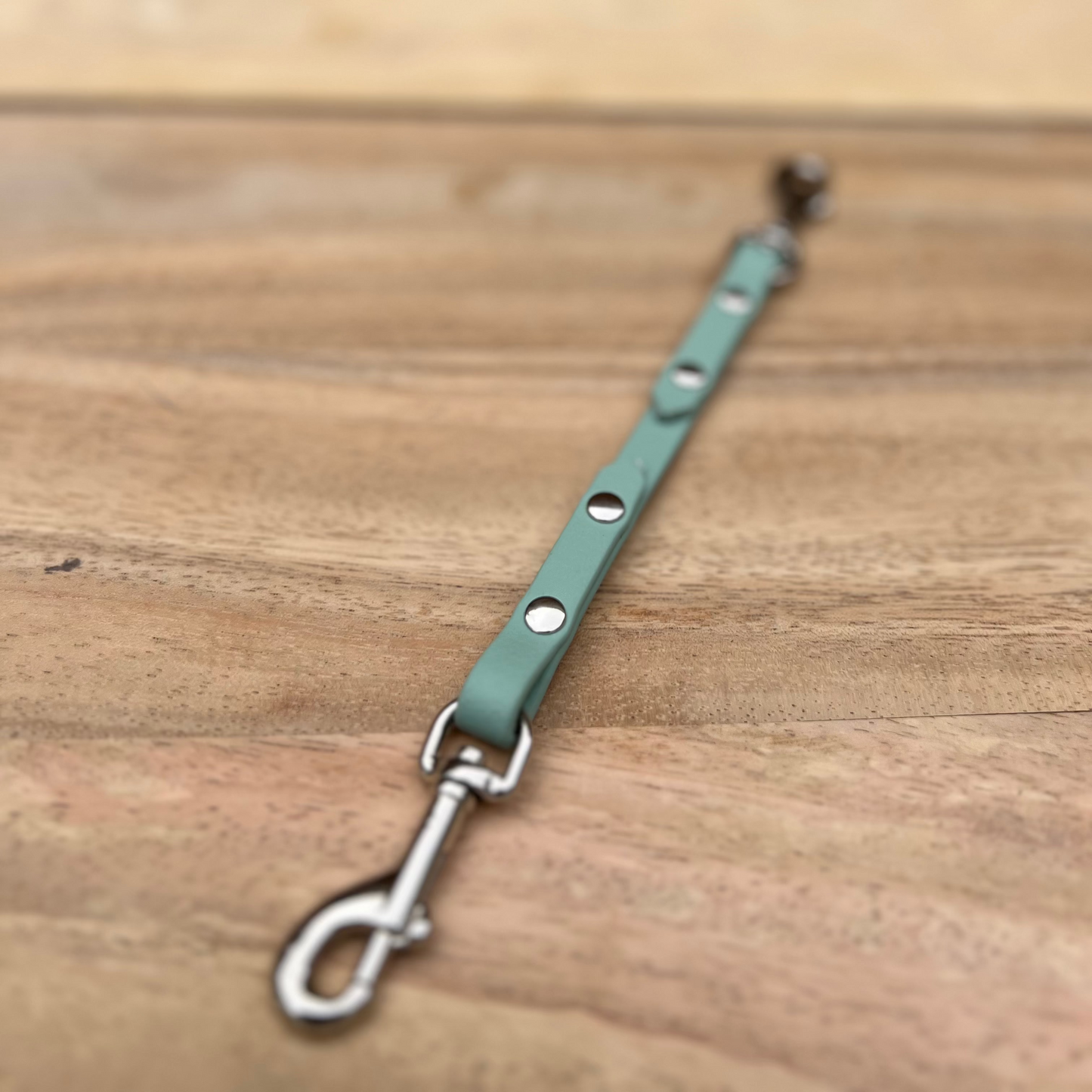 Biothane Safety Strap
