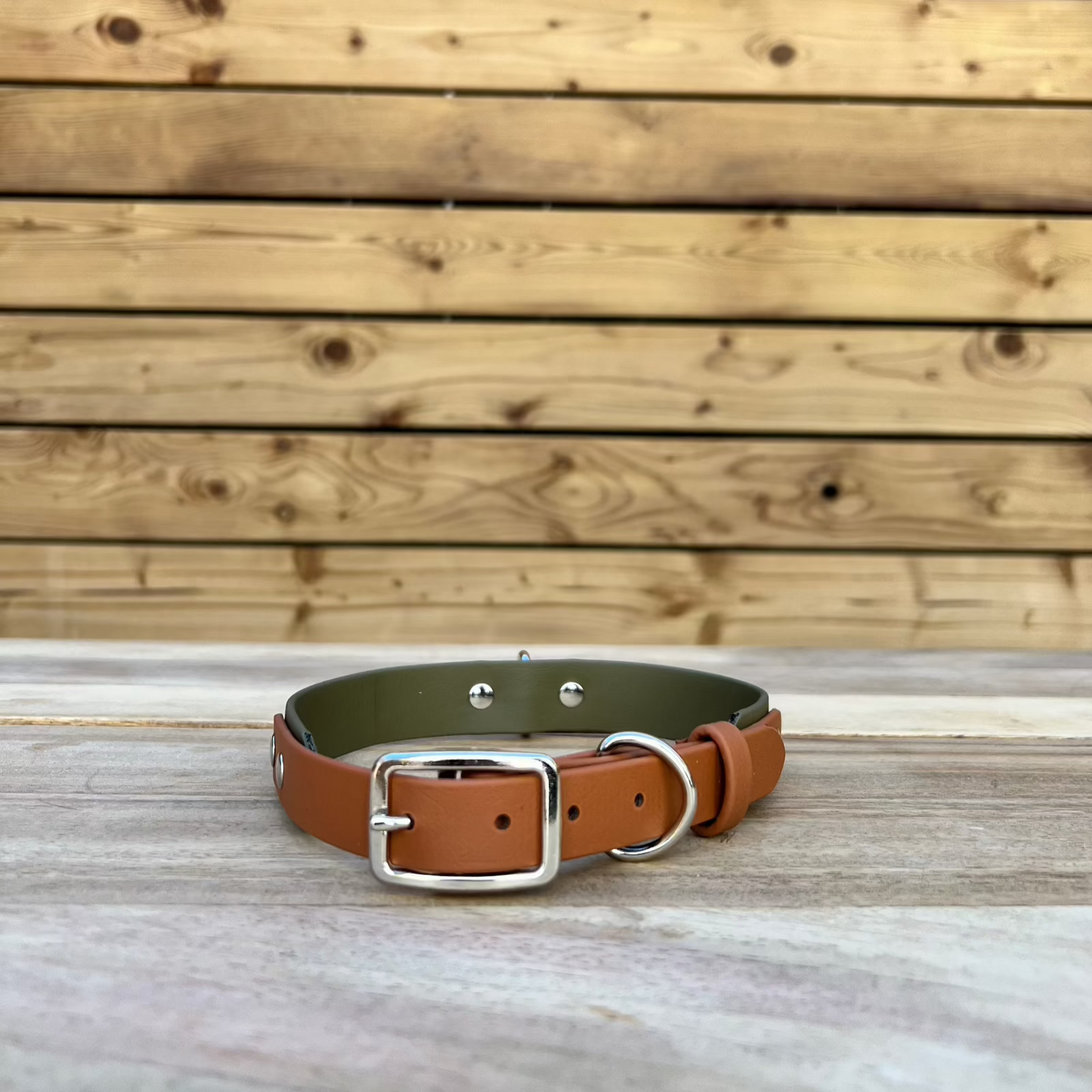 Biothane Classic Buckle Layered Two Tone Collar