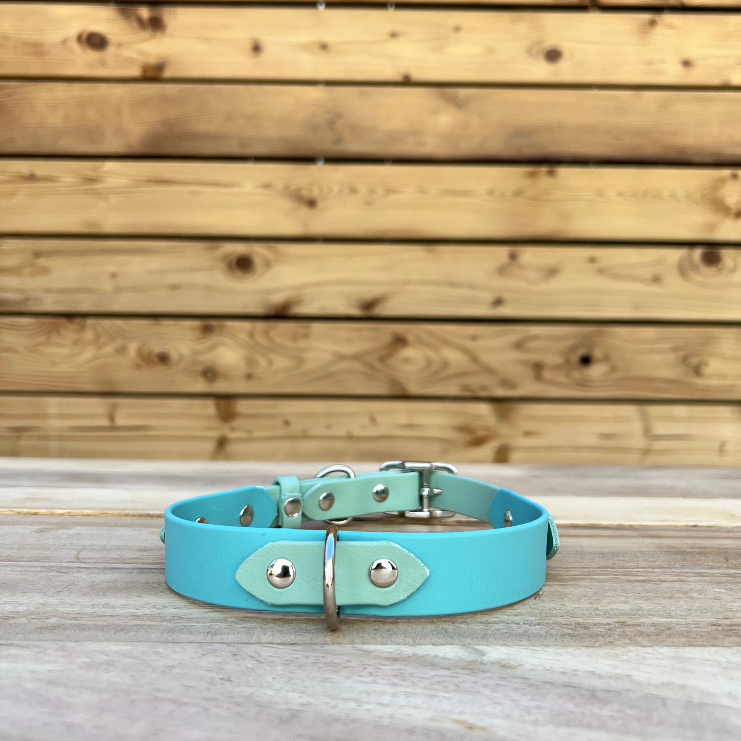 Biothane Classic Buckle Layered Two Tone Collar