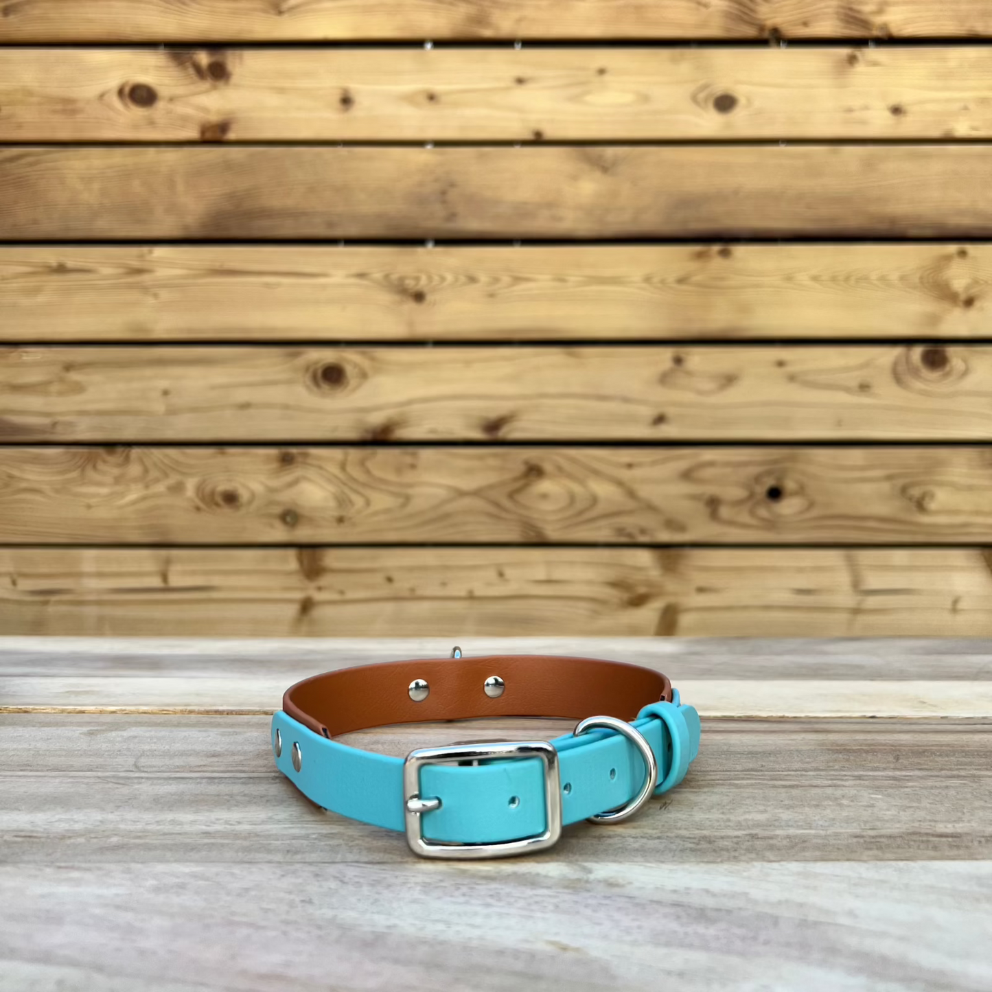 Biothane Classic Buckle Layered Two Tone Collar
