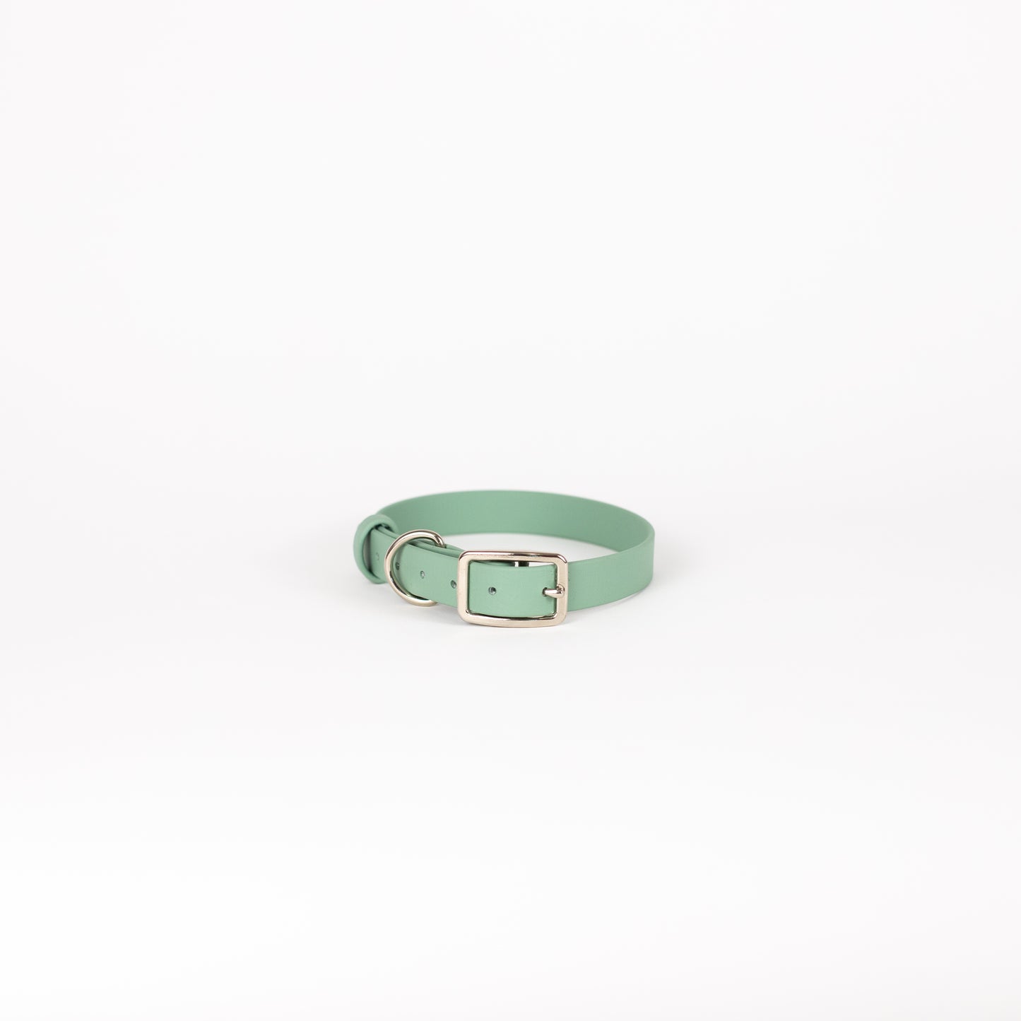 Biothane 3/4" Classic Buckle Collar
