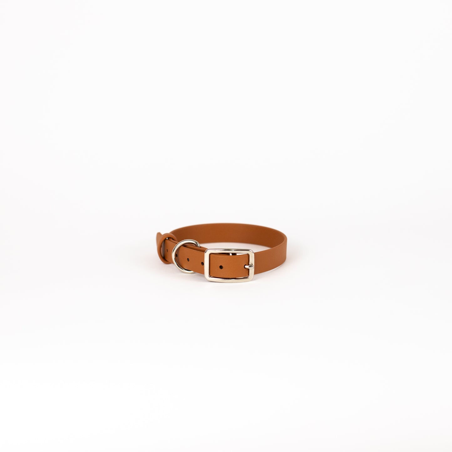 Biothane 3/4" Classic Buckle Collar