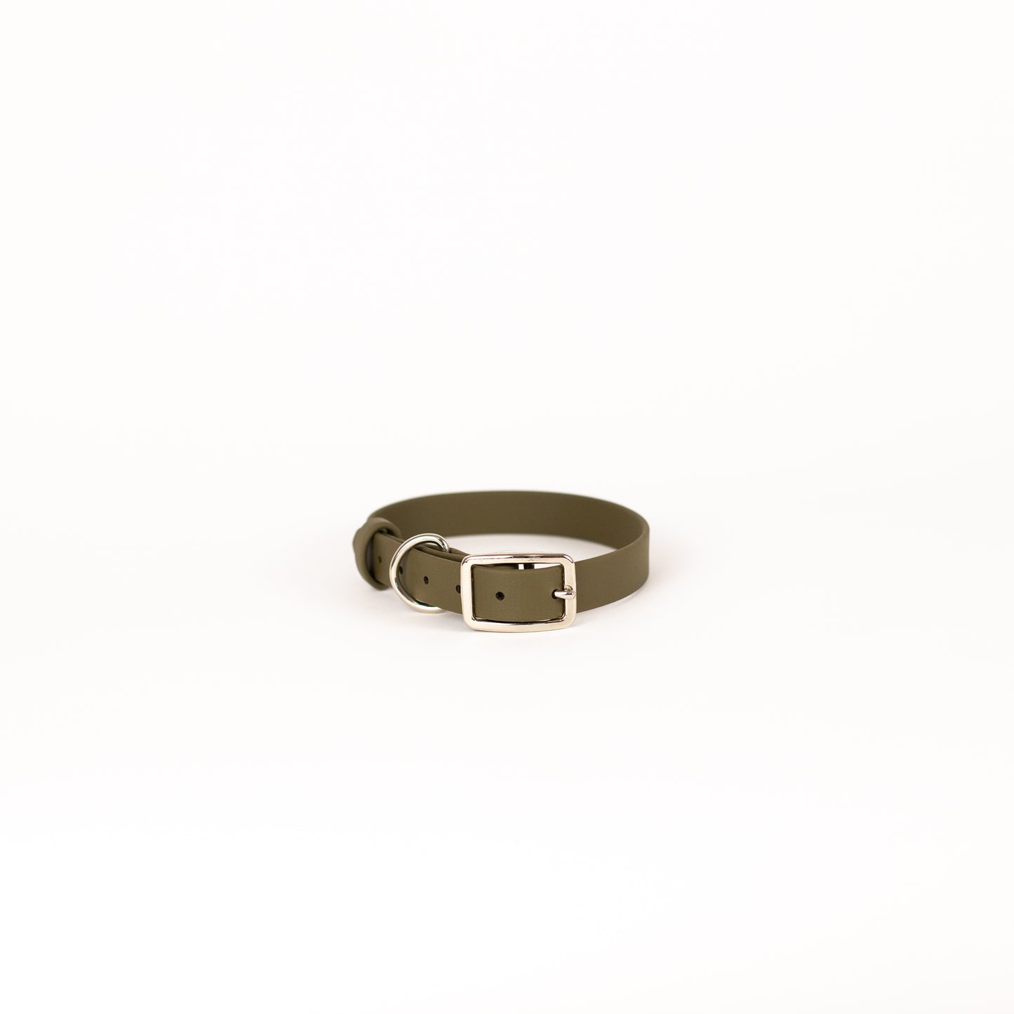 Biothane 3/4" Classic Buckle Collar