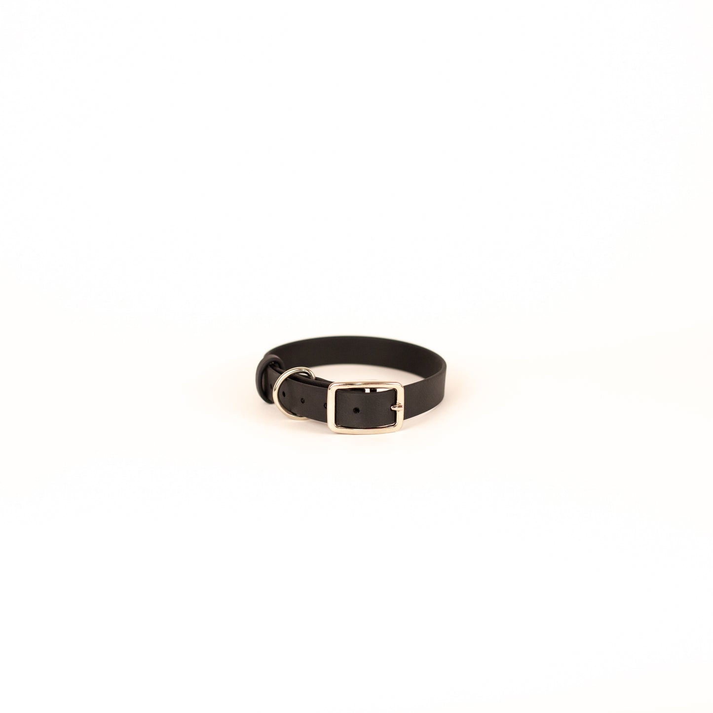 Biothane 3/4" Classic Buckle Collar
