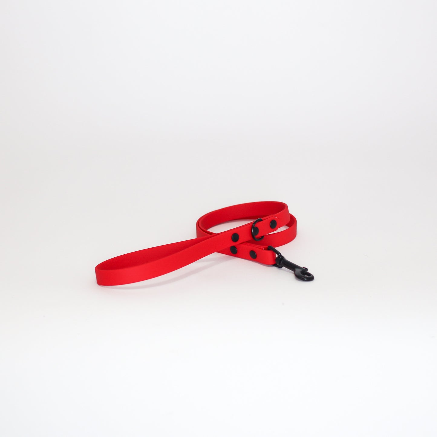 Biothane 5/8" Classic Leash