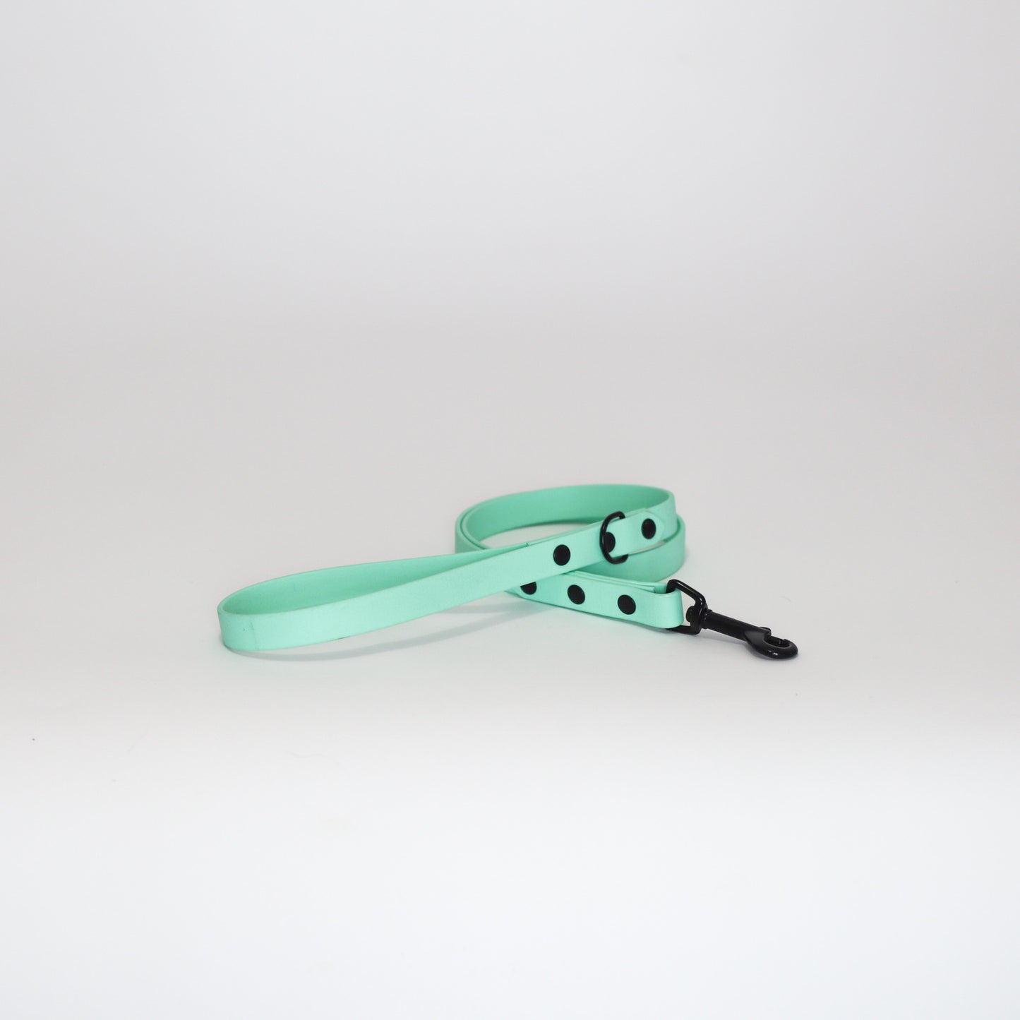 Biothane 5/8" Classic Leash