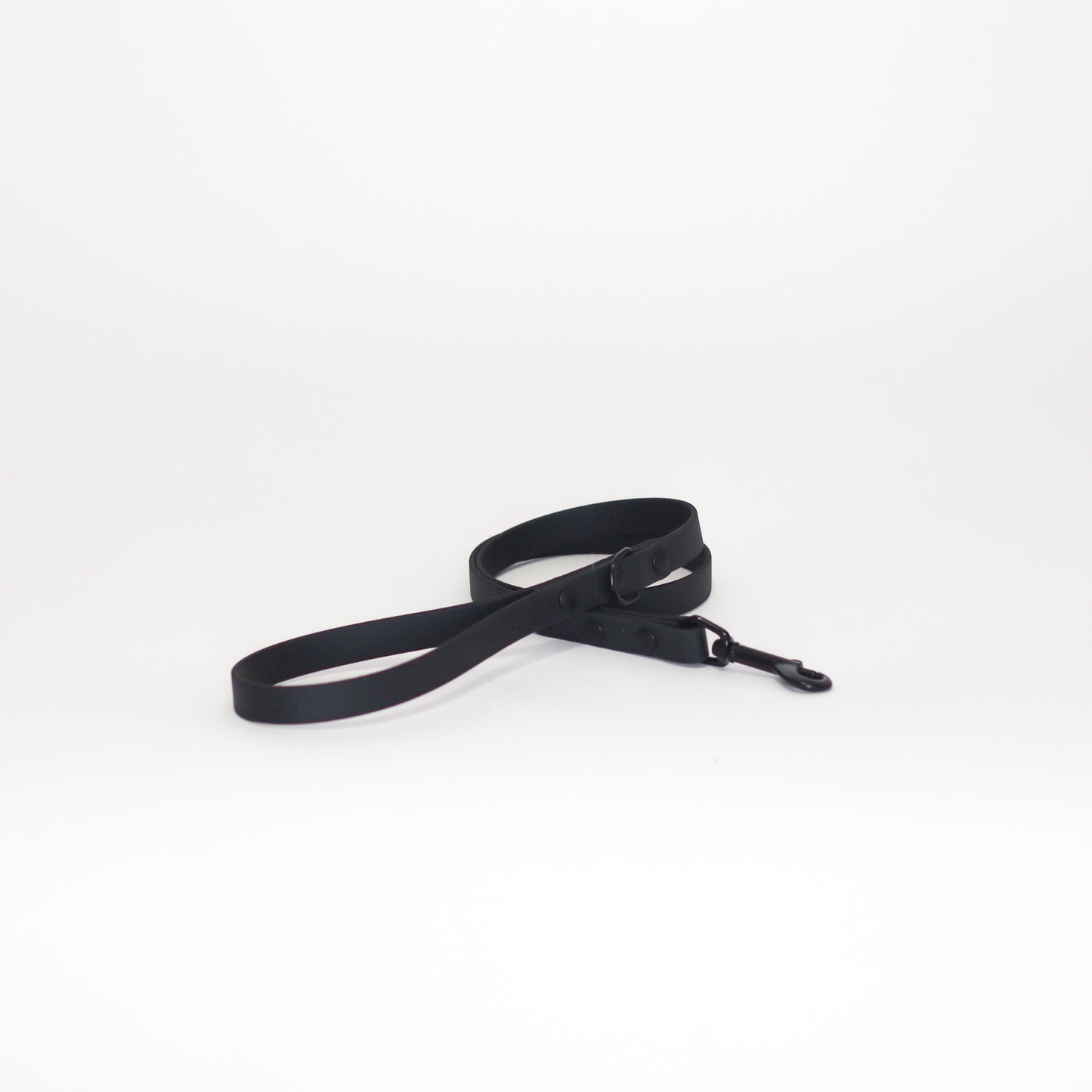 Biothane 5/8" Classic Leash