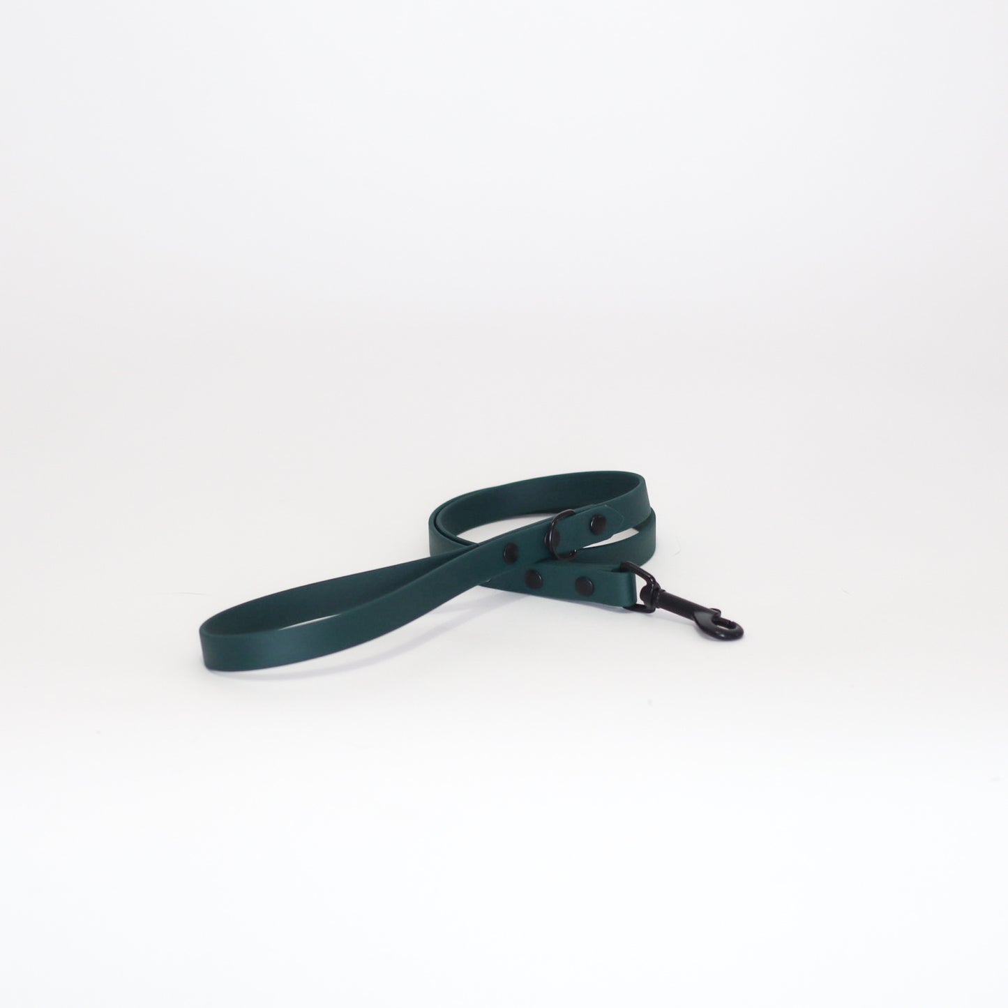 Biothane 5/8" Classic Leash