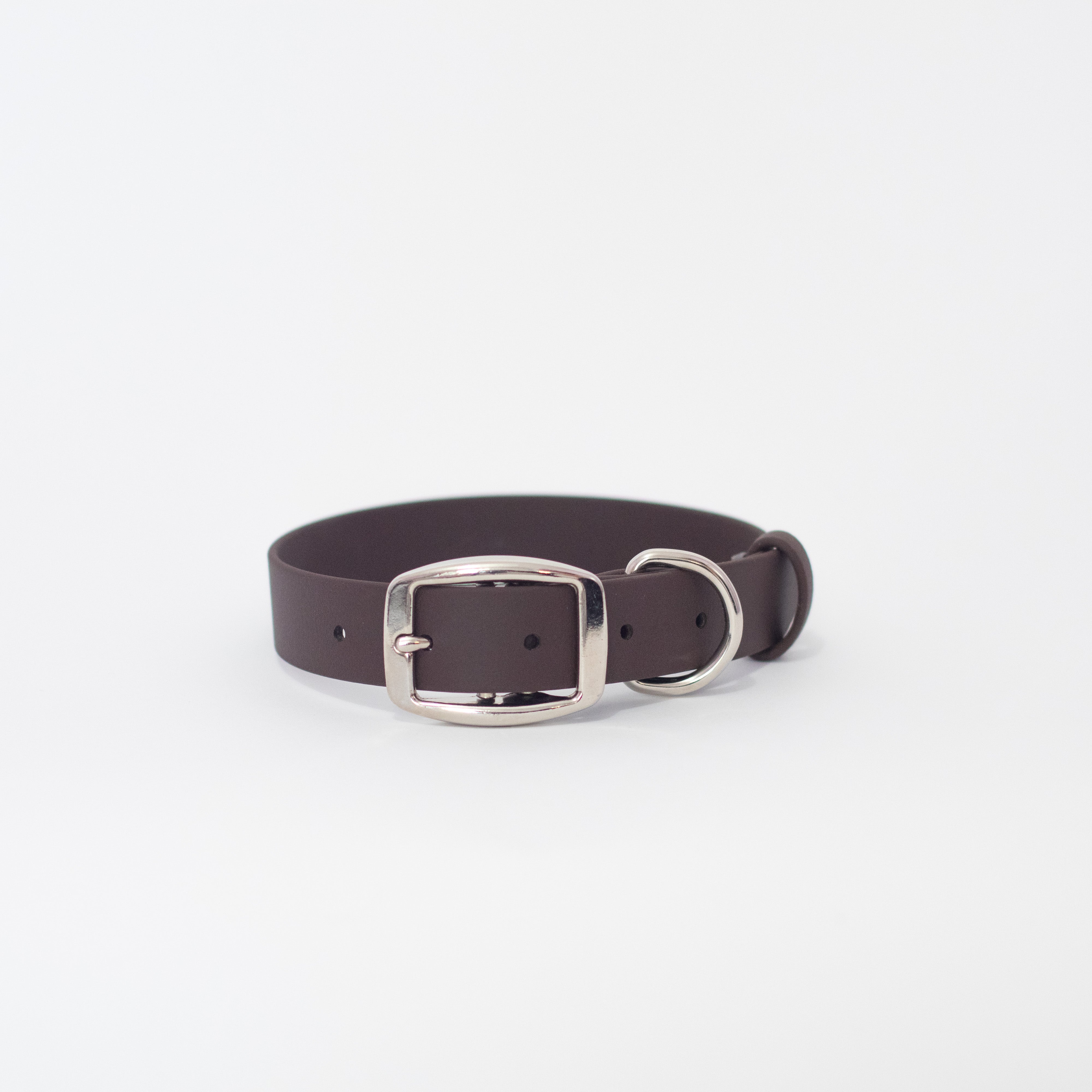 Dog collar belt best sale buckle
