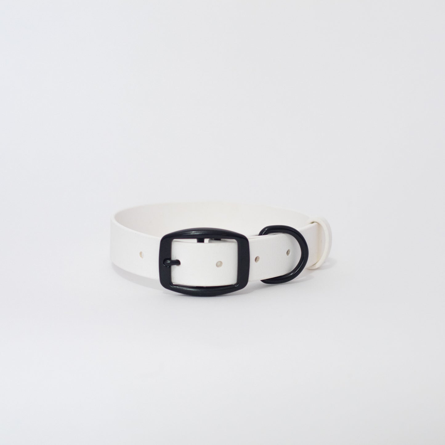Biothane 1" Classic Buckle Collar
