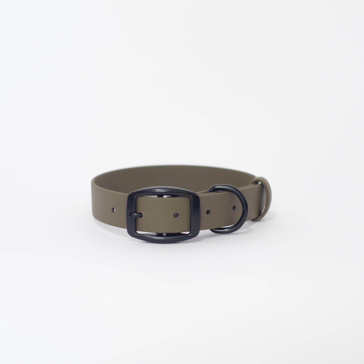 Biothane 1" Classic Buckle Collar