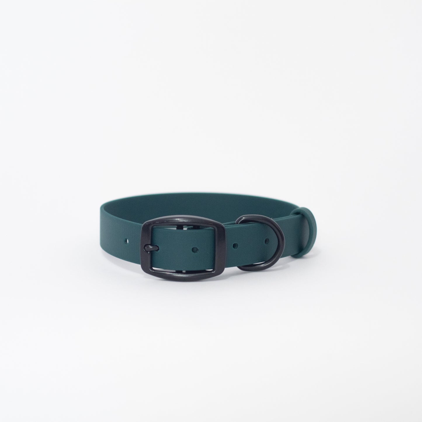 Biothane 1" Classic Buckle Collar