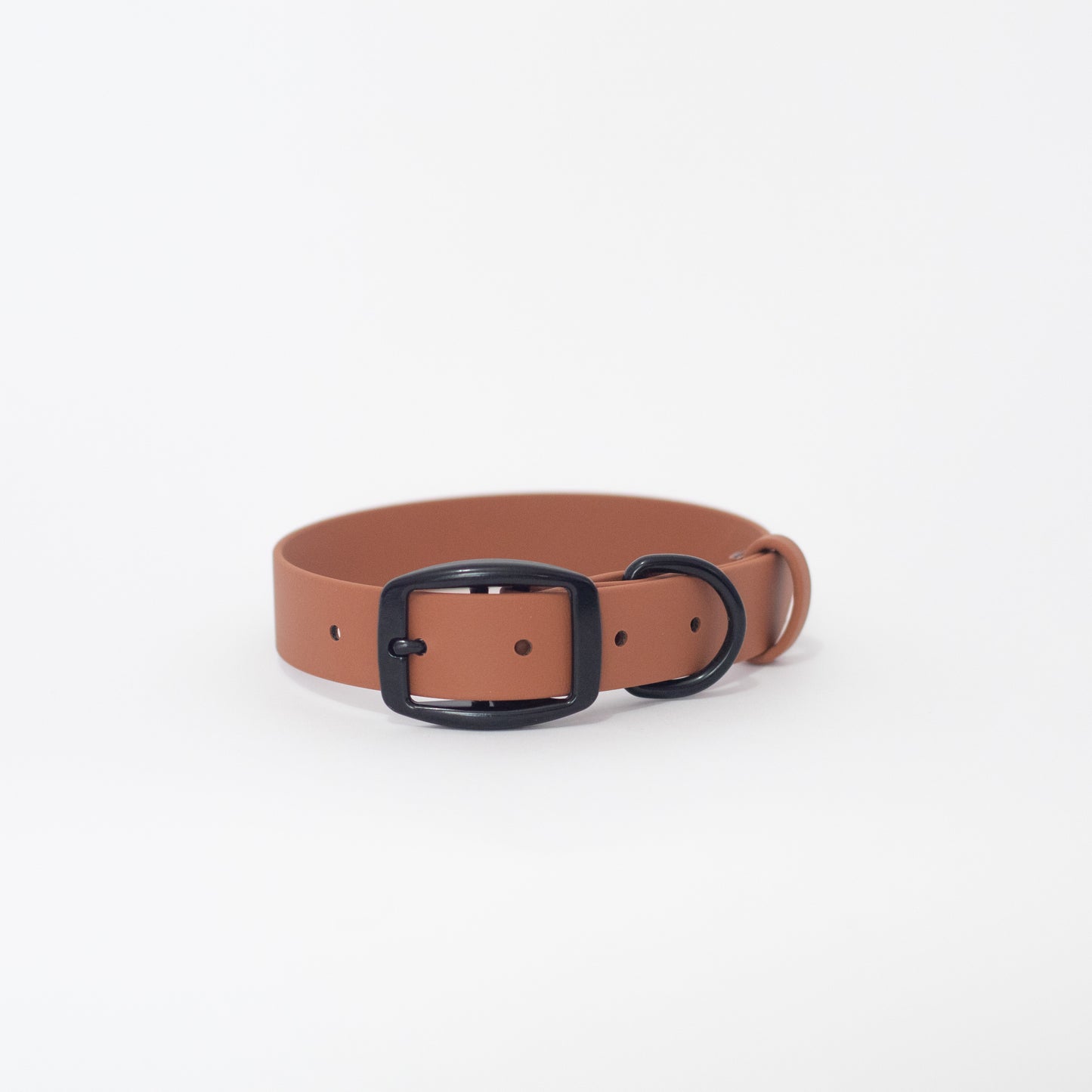 Biothane 1" Classic Buckle Collar