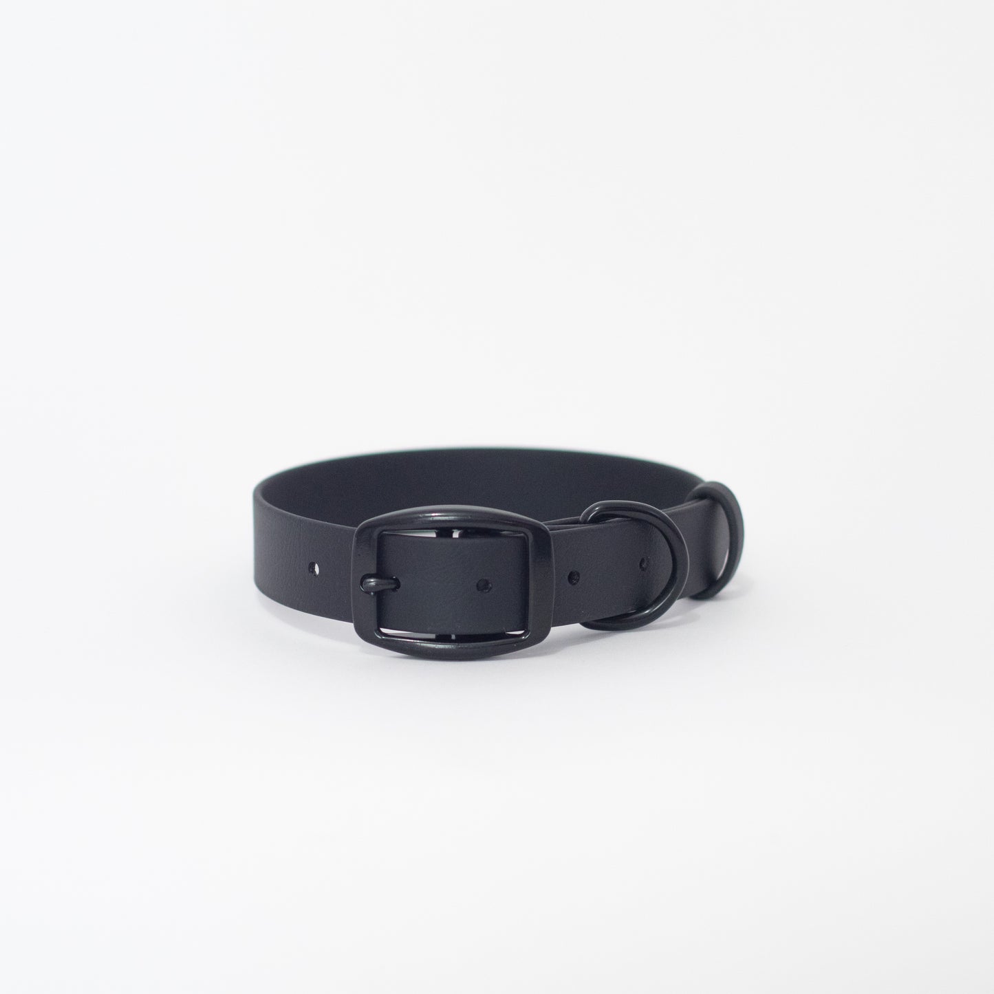 Biothane 1" Classic Buckle Collar
