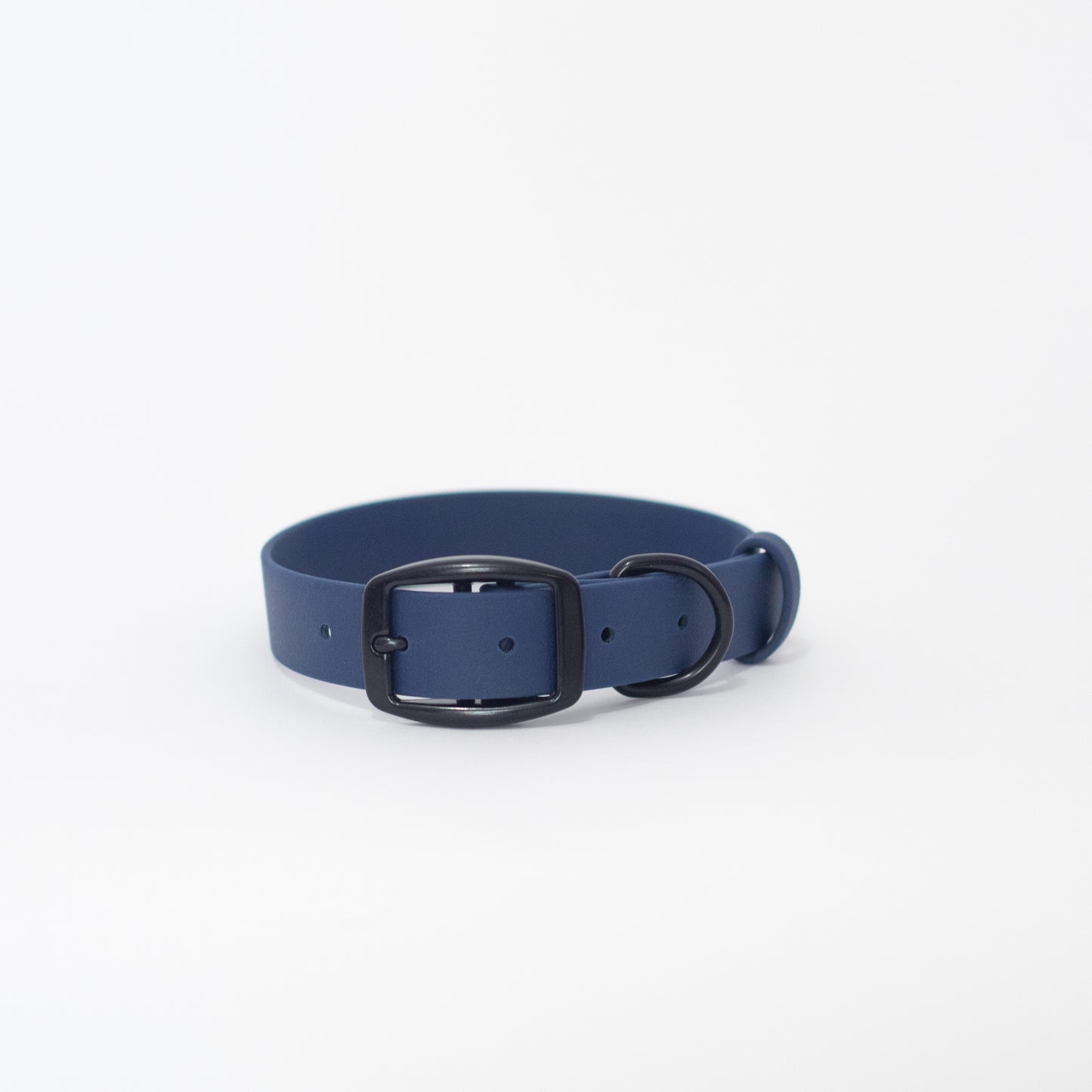 Biothane 1" Classic Buckle Collar