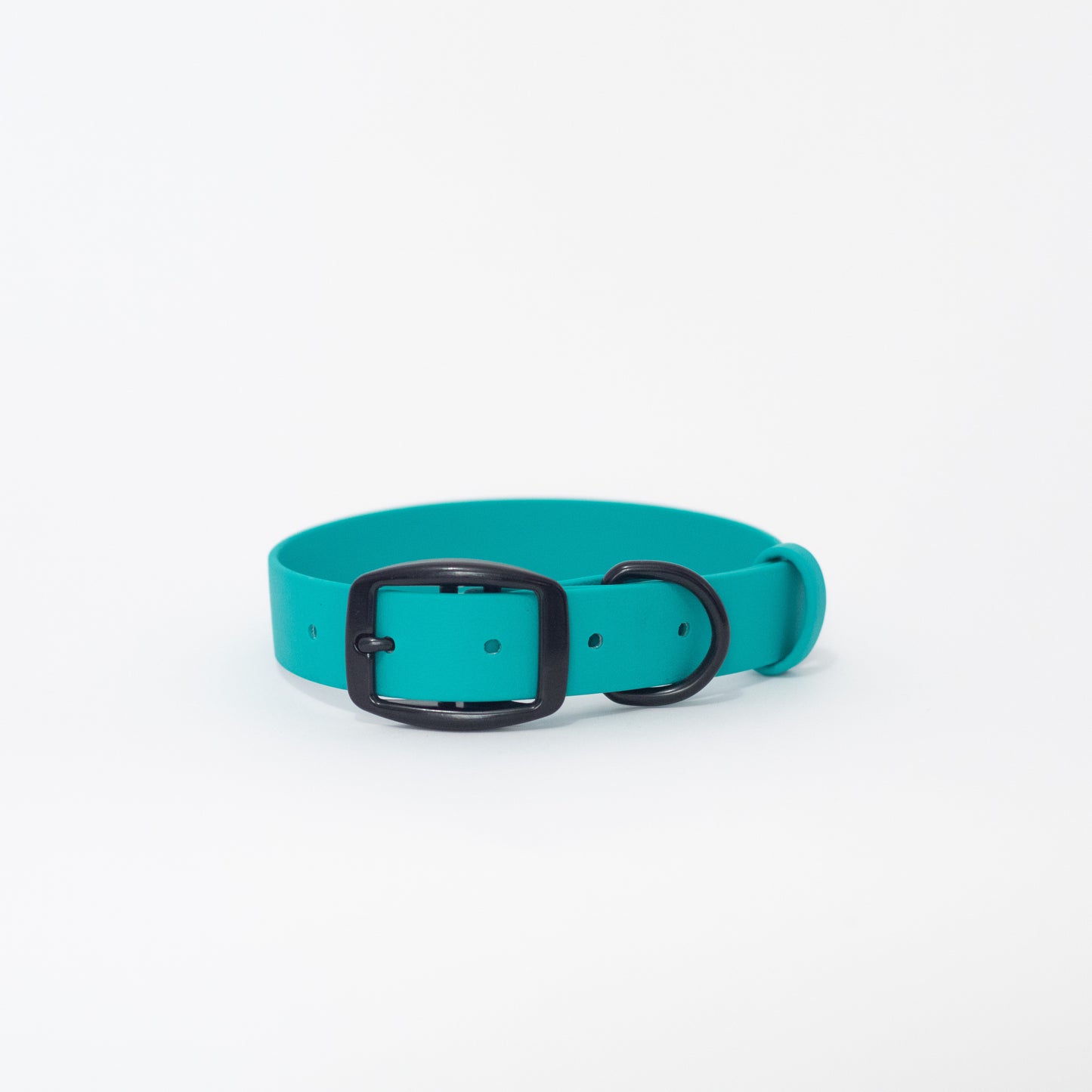 Biothane 1" Classic Buckle Collar