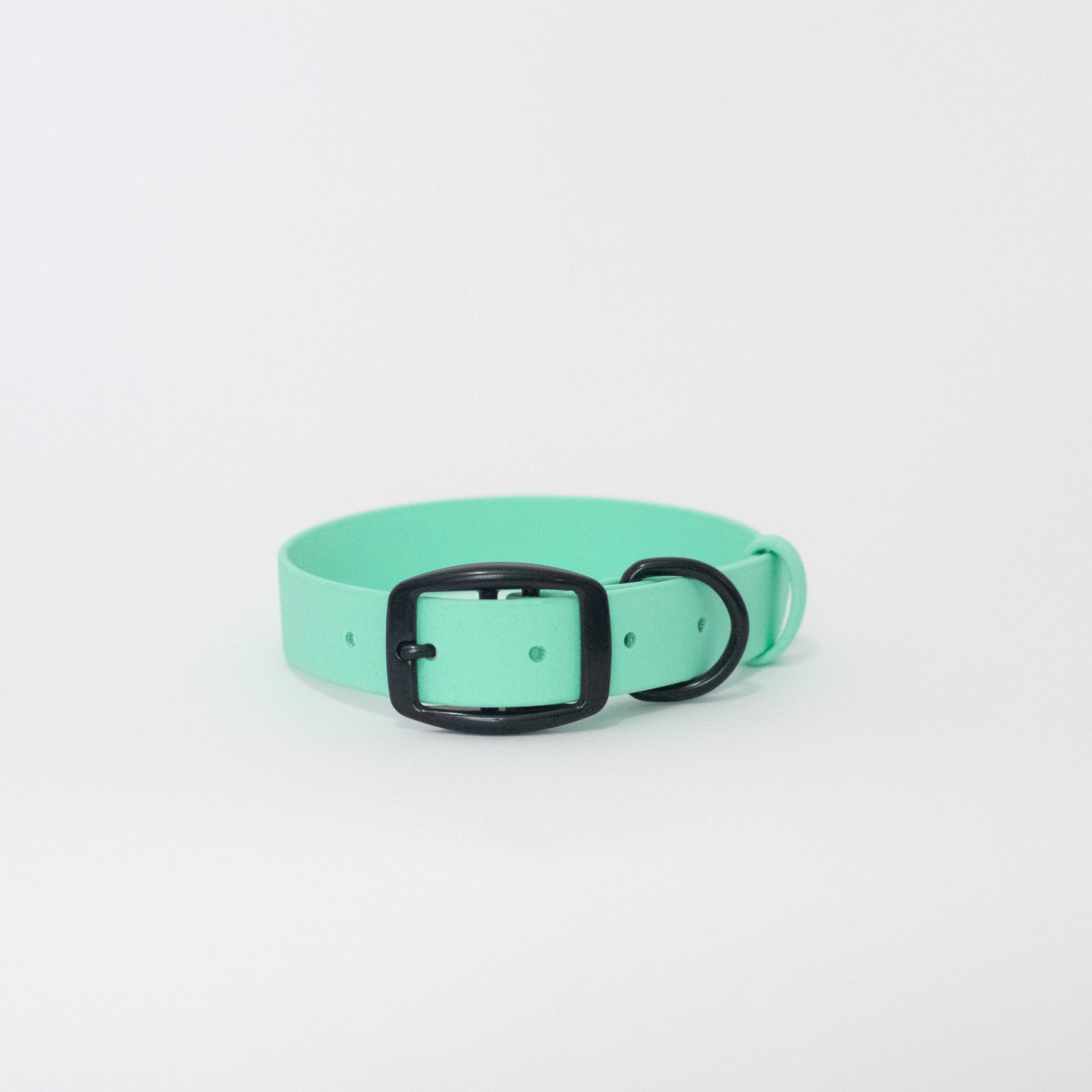 Biothane 1" Classic Buckle Collar