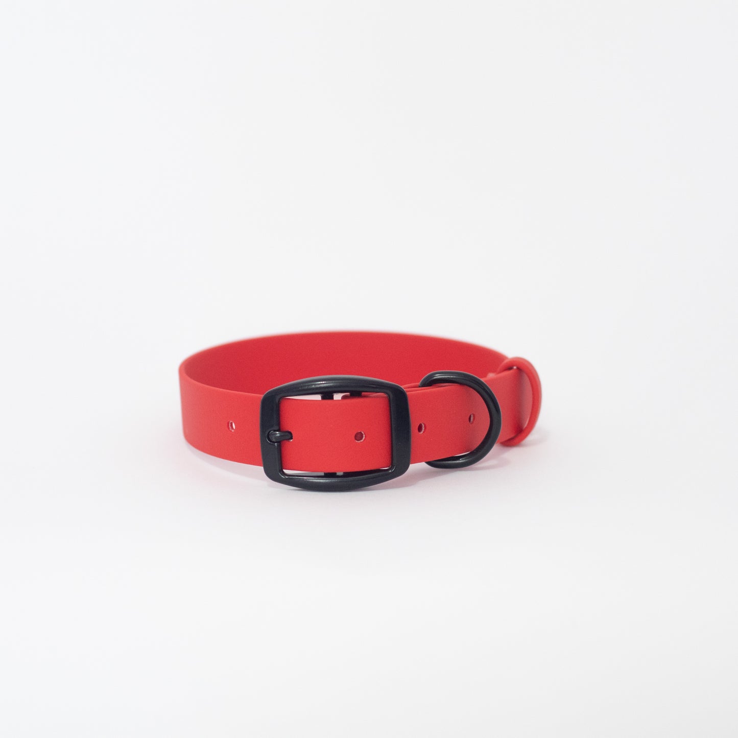 Biothane 1" Classic Buckle Collar