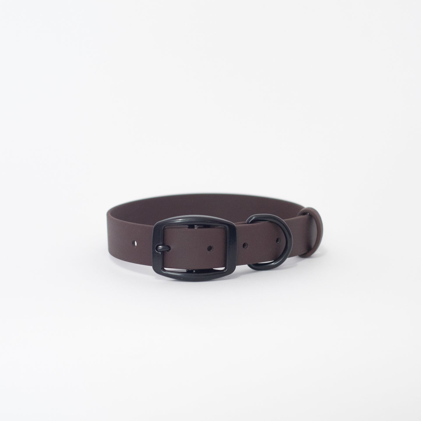 Biothane 1" Classic Buckle Collar