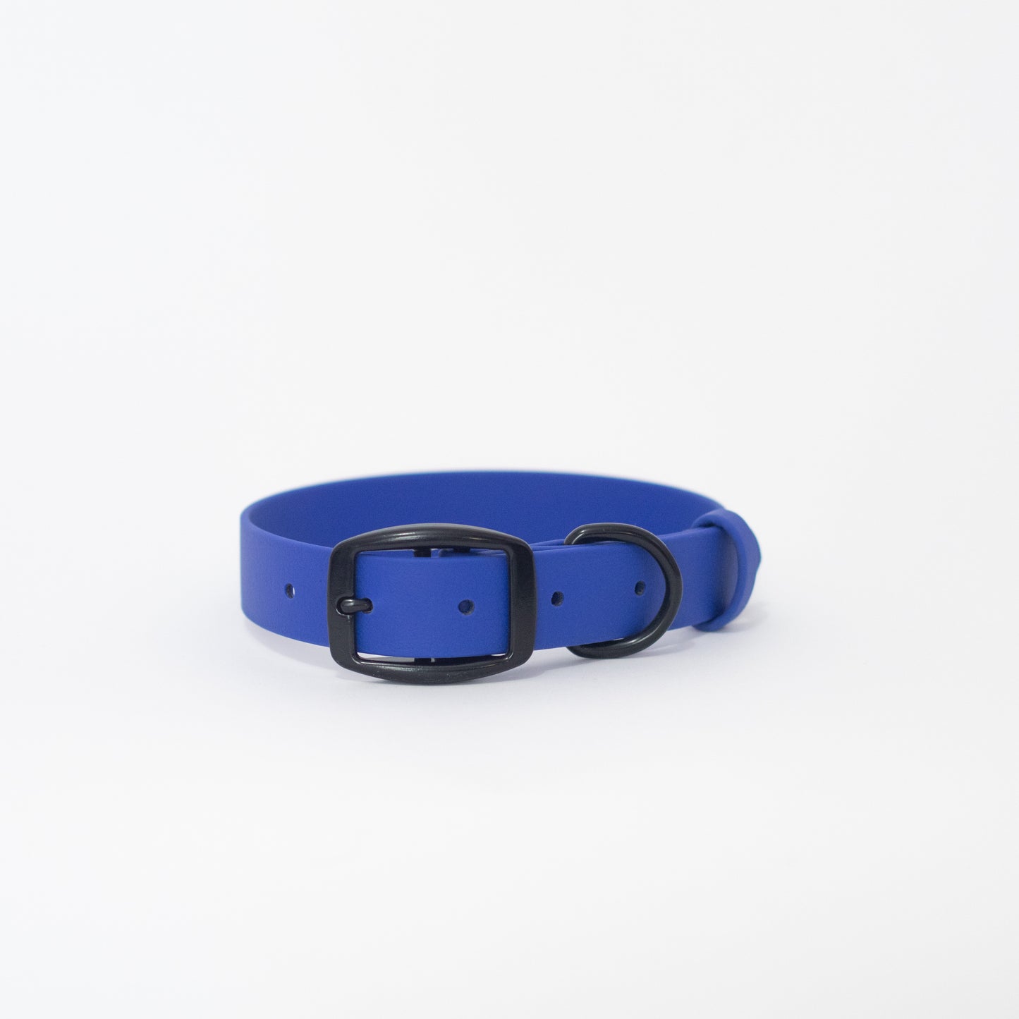 Biothane 1" Classic Buckle Collar