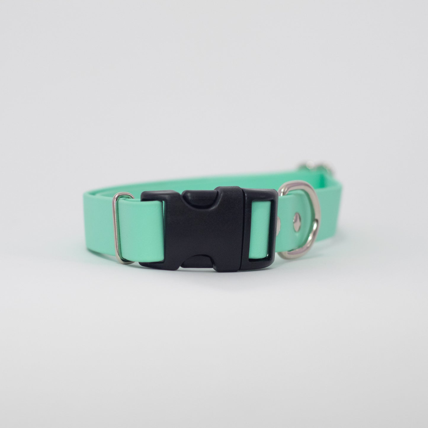 Biothane 1" Adjustable Collar